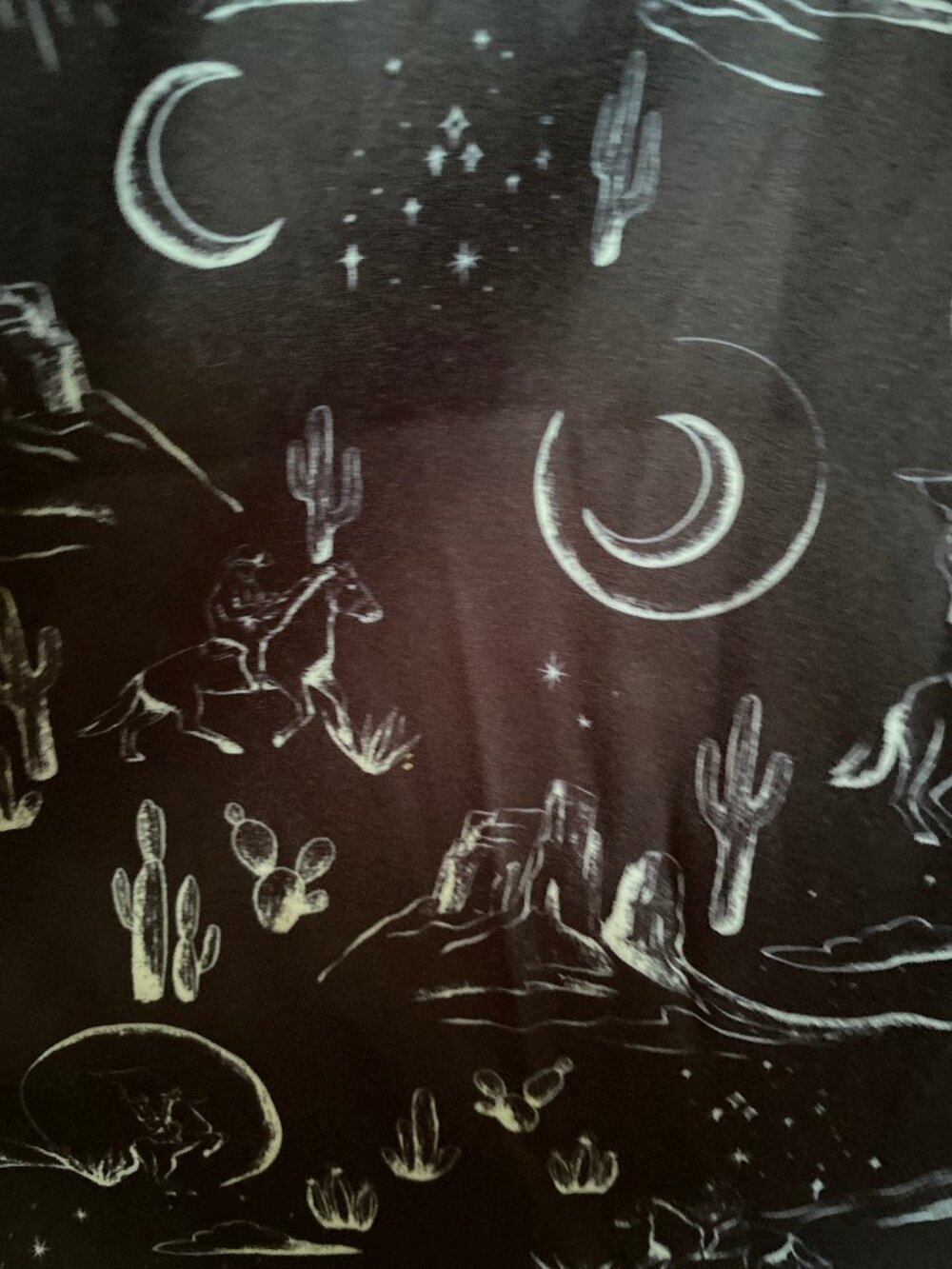 NWT Voodoo Vixen Brand Crescent Moon/Cactus Retro Western Skirt - Size 6 USA - Picture 5 of 5